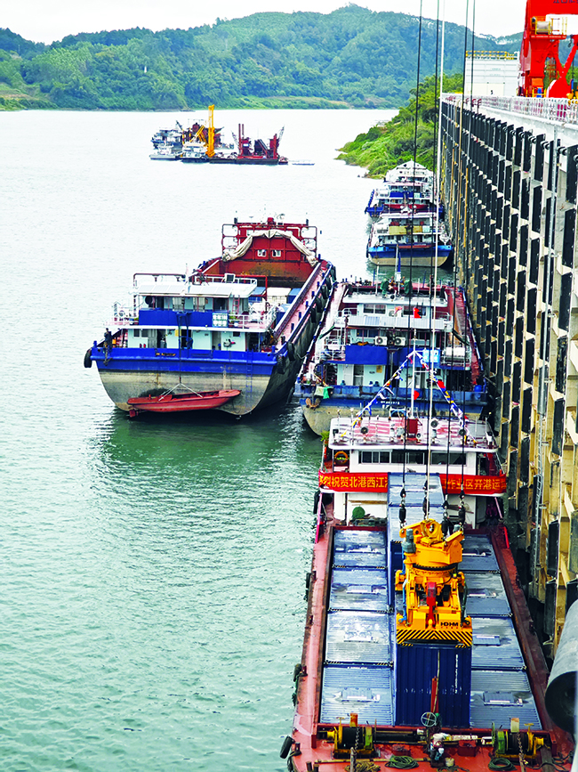 1731855204011335682.jpg 1731855204011335682.jpg